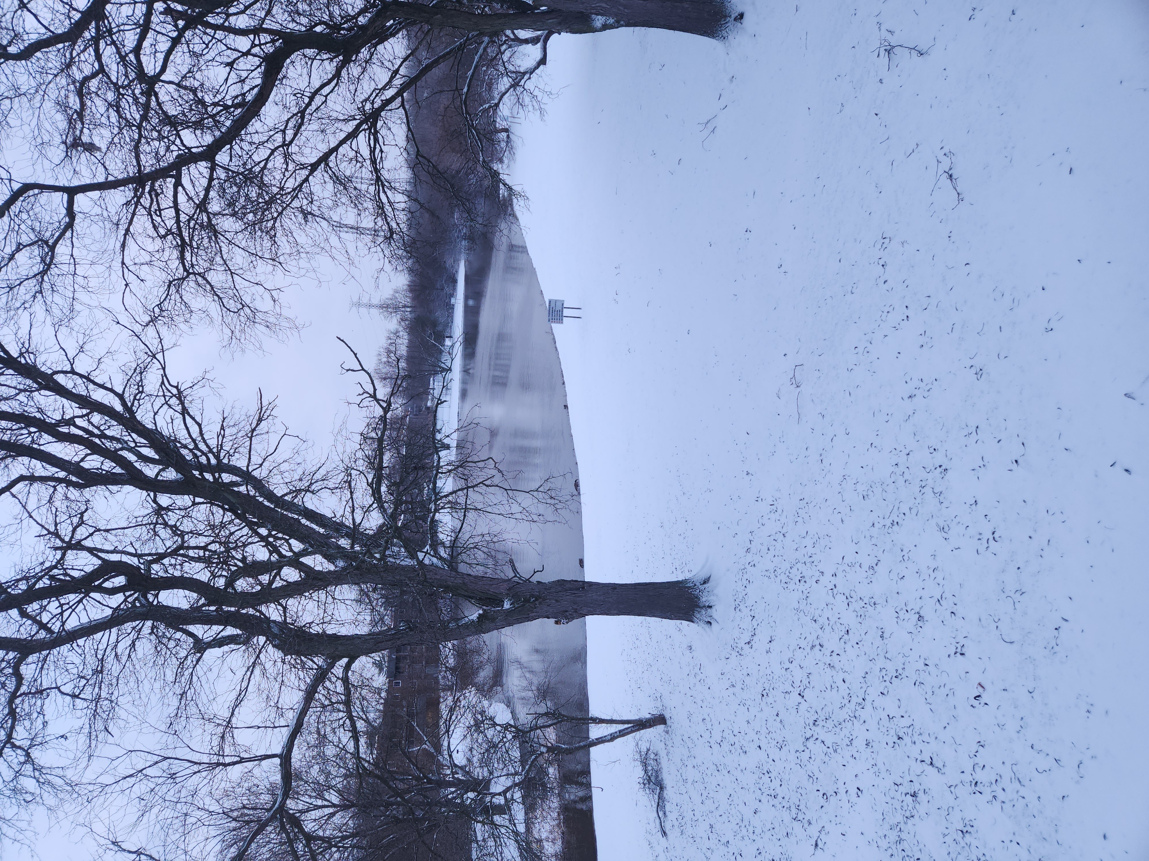 A tree branch in the foreground with a building in the background.